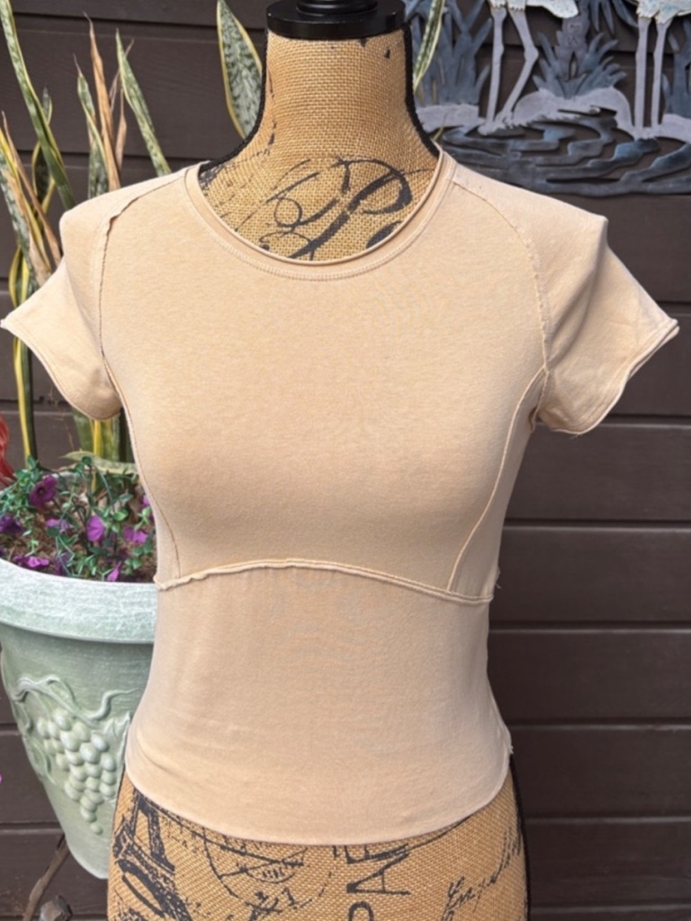Free People We The Free Crop Top Fitted  Cap Sleeve Tee Empire